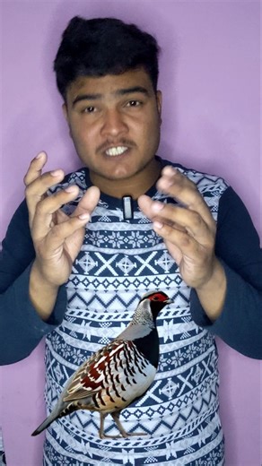 Pakistan’s National Animals Are Dying of Thirst | A Silent Crisis”#shorts