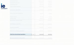 The Income Statement explained