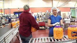 Content Farm Demo Reel