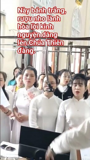 The offering song has beautiful meaning and lyrics, and the singer is lovely and gentle.