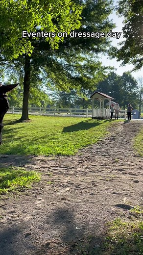 Three Days, Three Unique Ways of Eventing - Dressage, Cross Country