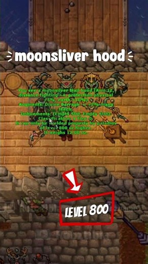 ¡Los NUEVOS ÍTEMS del Royal Paladin en el Summer Update! 🔥 #tibia#mmorpg