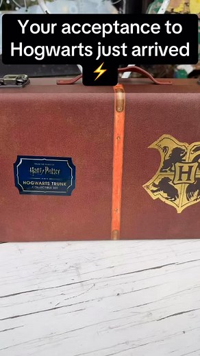 🦉Your owl isn’t lost! We’ve got your trunk waiting for you at Chapters 📚⚡️ | Chapters Books & Gifts