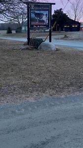 20K views · 227 reactions | Kingsway tag sale sneak peek! | Kingsway Farms | Facebook