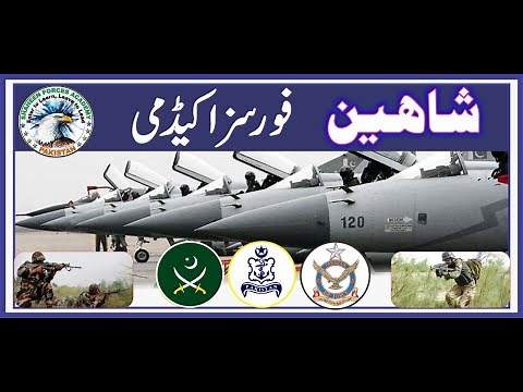 Verbal Intelligence Test 1 | Visit our new website www.pakshaheens.com