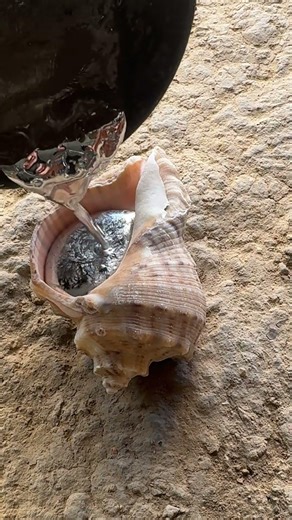 Sand casting aluminum snail shell at home 🐌 #DIY #restoration #shorts