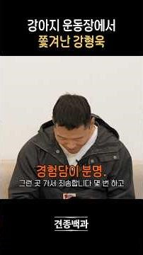 너무 과격해서 죄송합니다...