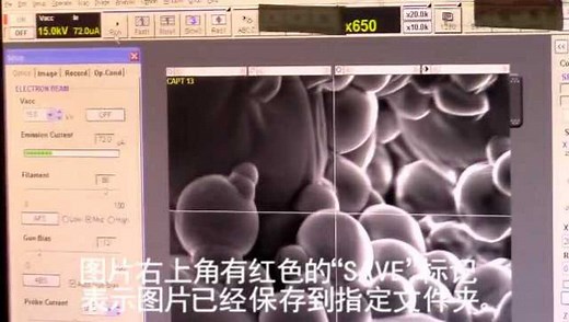 日立S-3400扫描电镜简易操作教程