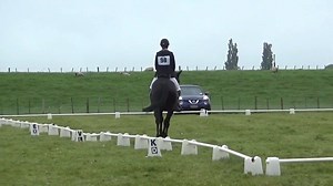 Editor's Choice™ Exciting prospect, 10 y/o, 16hh, TB gelding highly talented and multi disciplined, he is ideal for a competitive young/amateur rider. Competing successfully 1.25m SJ, Level 2 Dressage and 95cm Eventing. Bold and brave, with correct technique. Has the scope to easily go up the levels. View more at http://www.ispyhorses.com/ispy_new/horses/2011 | iSpyHorses