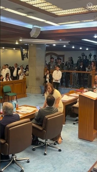 Loren Legarda attends CA plenary session at Senate