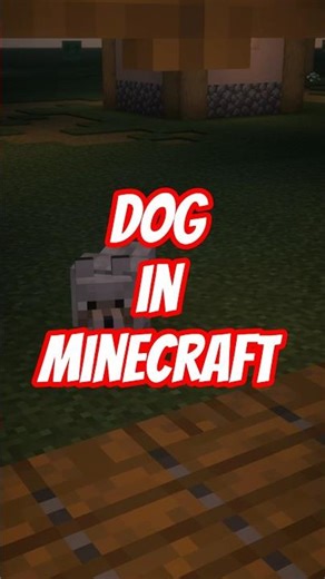 Skinwalker in Minecraft #shorts