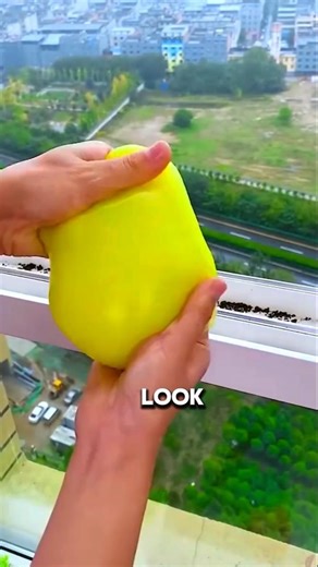 Clean Windows in Seconds with This Magical Gadget! ✨ #shortvideo