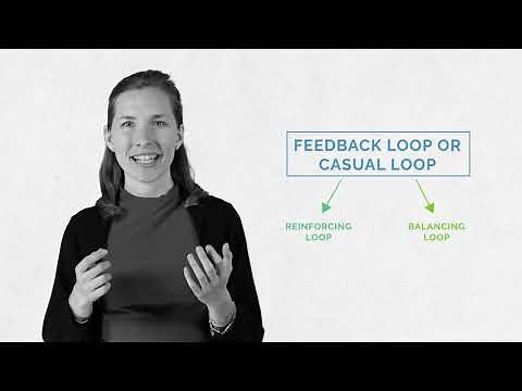 ST4FSS 7: Balancing loops & Time delays