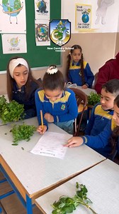 Simple vs. Compound Leaves 🌿🌱 | Our students explored the fascinating world of leaves in today’s experiment! 🧪 Simple leaves have a single blade, while compound leaves are divided into multiple leaflets. Science is all about observing the small details that make nature so unique! 🍃✨ #ScienceClass #LearningThroughExperiments #NCSHandsOn | New Century School