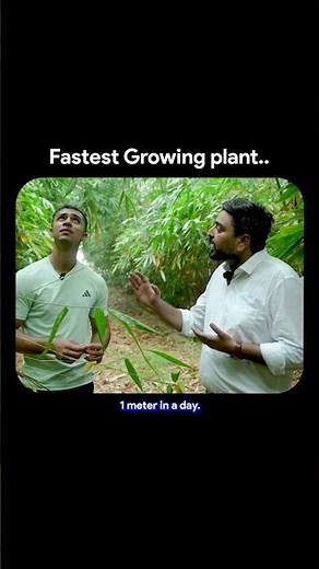 Fastest Growing Tree in the World? 🌳💡 | Agritalk Clips | #shorts