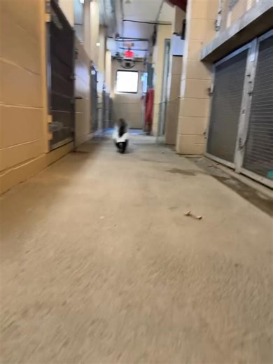 Marshmallow 🤣 | Cincinnati Zoo & Botanical Garden