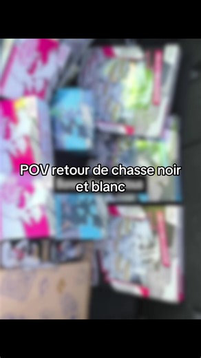 POV Retour de Chasse Noir et Blanc dans Pokémon