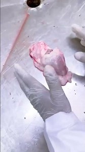 Anatomy of Goat (Caprine) Heart