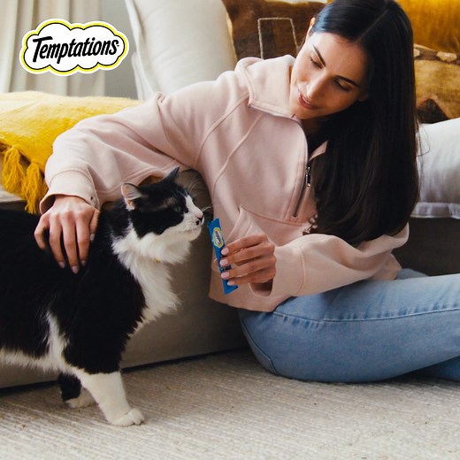 Delight their tastebuds and experience treat-\u0002time like never before with easy-to-serve TEMPTATIONS™ lickable treats. | Chewy
