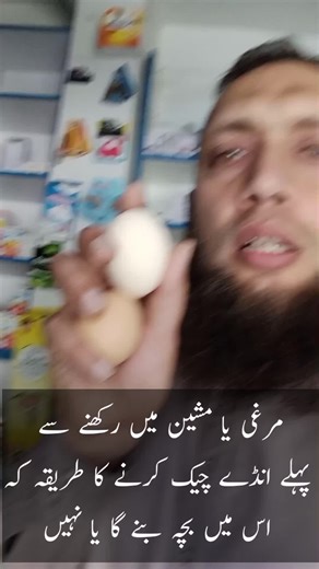 How to Check Fertile Eggs at Home Using Candling