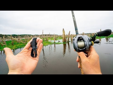 Fishing A DRAINED Lake Full Of BIG Fish For The First Time (Rodman Reservoir)