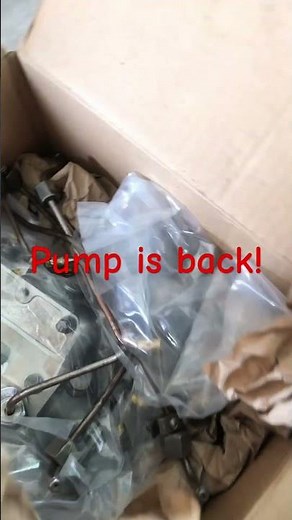 CAV injection pump is back from the diesel shop. Rebuild injection pump- Massey Ferguson 35