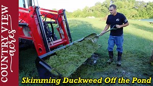 108K views · 2K reactions | Collecting Duckweed off the Pond with a...