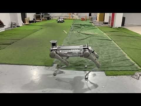 Unitree B2 Robot Dog Daily Performance