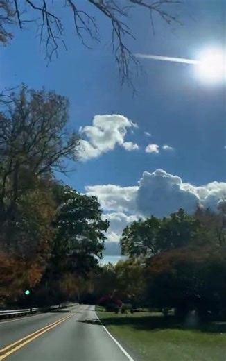 “somatic droplet in action” and “strategic innocence”