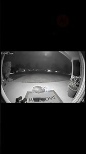 ALIEN Abducts Cat On Doorbell Camera!