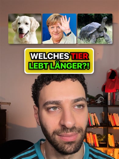 Welches Tier lebt länger? Hättet ihr alle richtig erraten 👀🤣 #fürdich #challenge #coupleschallenge #comedy #tiere #satirecomedy
