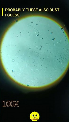 Tap Water Under Microscope | Dr Science