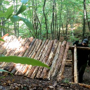 272K views · 8.3K reactions | I build shelter in nature using simple hand tools. #wargehbushcraft #bushcraft #camp #camping #bbq #dog #travel #forest #cooking #survival #documentary #nature #primitive | Wargeh Bushcraft | Facebook
