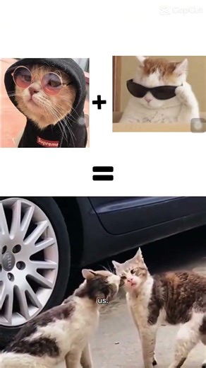 Eu e minha irmã brigando