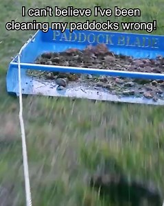 26 reactions · 33 shares | 駱 WAIT RIGHT THERE 駱 Horse Owners are...