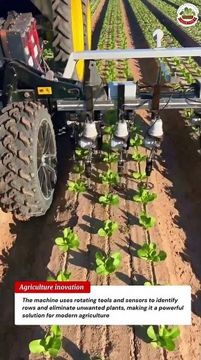 Automatic Weeding Machine in Action 🌱 Smart Farming Technology 🚜🤖