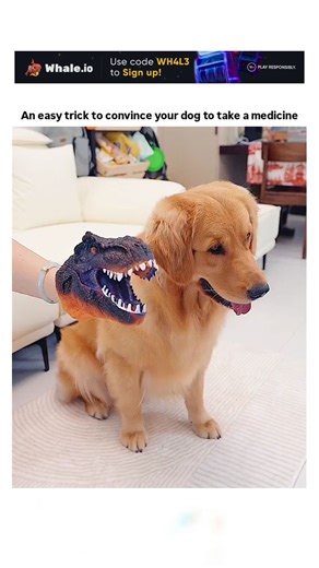 Making Cartoons on Instagram: "The post shares a 18-second video demonstrating a method to administer medicine to a golden retriever by using a menacing dinosaur hand puppet to induce fear, prompting the dog to quickly swallow a pill; Chinese subtitles suggest phrases like "Don't hit me," highlighting the intimidation tactic. - Replies overwhelmingly criticize the approach as abusive and trauma-inducing, with users advocating gentler alternatives like hiding pills in treats or cheese, reflecting