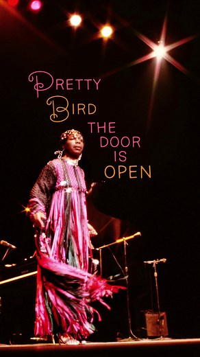 “Pretty bird, the door is open, fly to your freedom now...” - #ninasimone #prettybird #terea - 📸 by Kwame Brathwaite