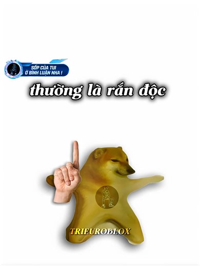 Top 5 cái tên thường là rắn độc :)) #trieuroblox #memes #hai #cheems #xh