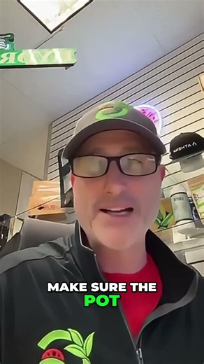 Plant Problems? Quick Action Plan for Healthy Growth #shorts