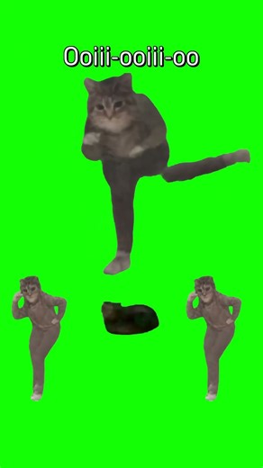 ooiioo #popipo #oiiaoiiacat #catmemes #aivideo #ぽっぴっぽー #猫ミーム