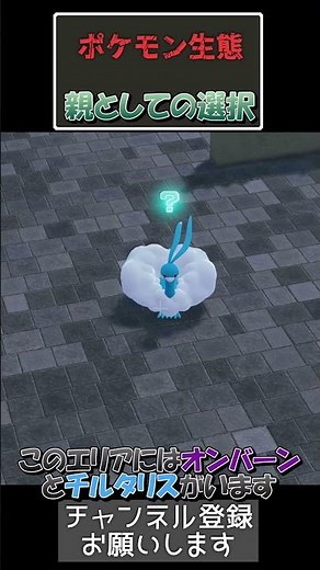 子を守るボーマンダ｜ #ポケモン #ポケットモンスターZA #ポケモン実況#ポケモン生態#ポケモンレジェンズza
