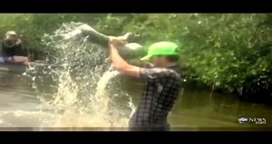 Fight between man and Python