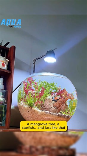 Aqua Layouts on Instagram: "Ocean Vibes in Just Minutes #aqualayout #aquariumfish #viral #reels #fishtank #fishtanks #fishlover #aqualover #aquaX #foryou #viral #aquascape"