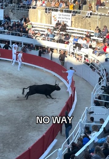 How Bro Reacts to Raging Bull Chaos 😳 #bull #escape