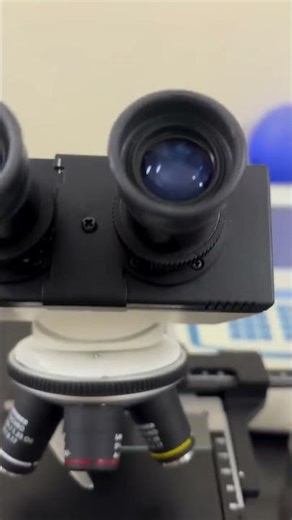 How to Do Semen Analysis in Lab | Sample to Microscope 🔬 Full Process #semenanalysis #labtechnician