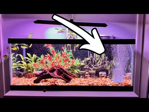 I absolutely love this hygger aquarium air stone