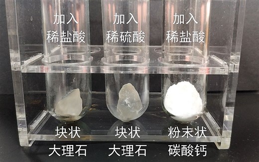 【泠月老师】实验室制取二氧化碳的试剂选择 ‐ Made with Clipchamp