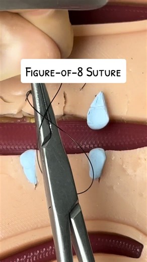 Vetventures on TikTok