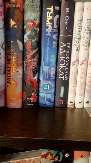 Discovering New Chinese Novels for Book Lovers